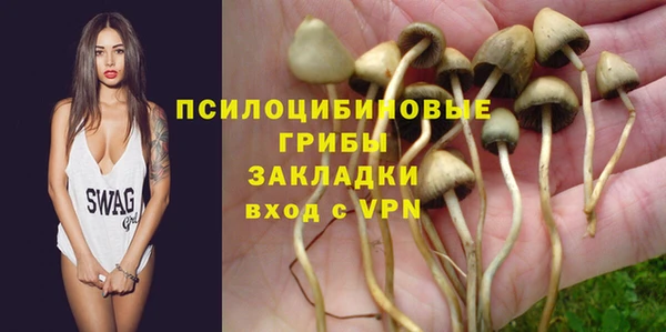 spice Богданович